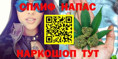 спайс Малгобек