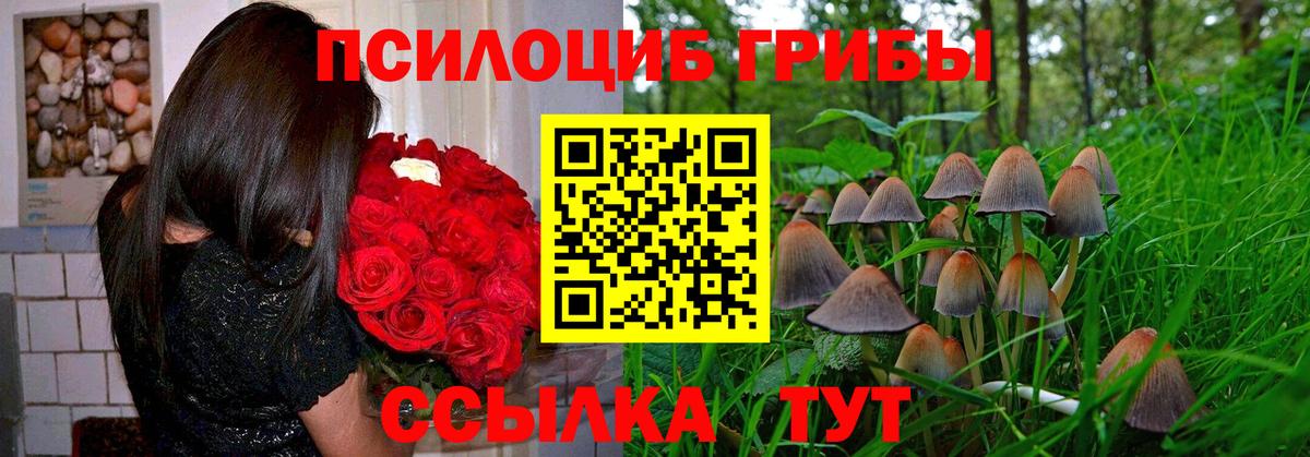 Галлюциногенные грибы Psilocybine cubensis  Вход с VPN  Якутск  Галлюциногенные грибы прущие грибы 